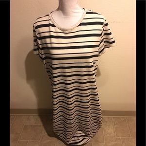 ANN TYLOR Dress Size: XL T Color: White and Black